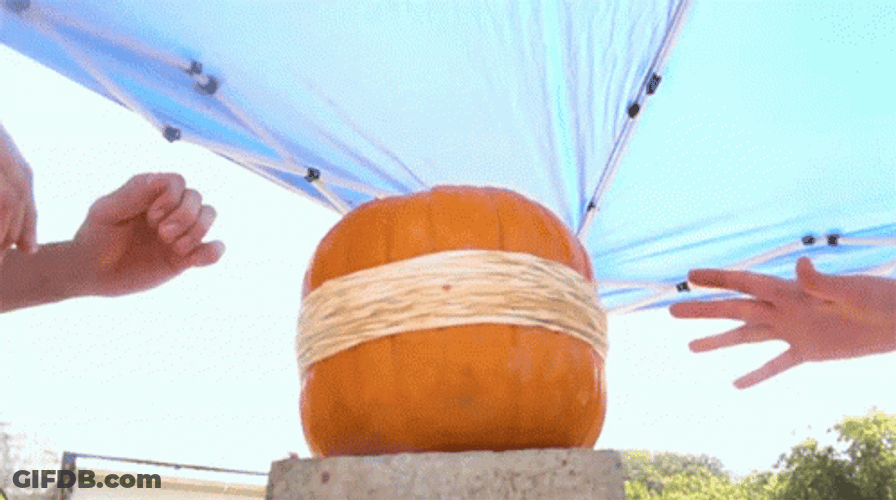 Popped Orange Pumpkin GIF