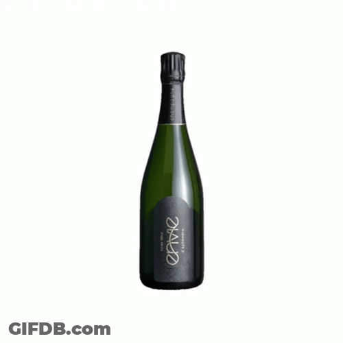 Popping Champagne Bottle GIF