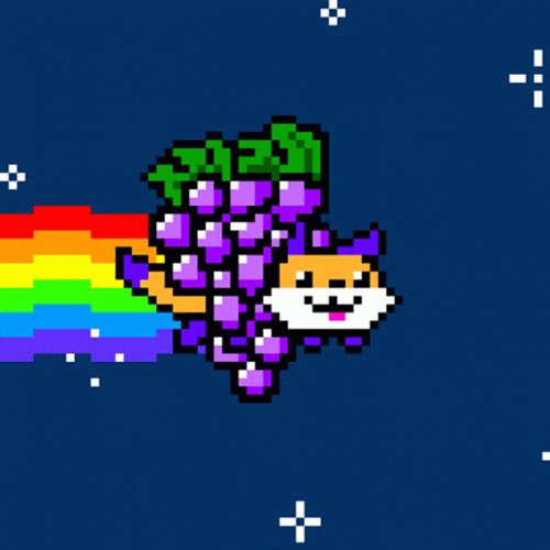 Poptart Cat Cute Fox With Grapes GIF