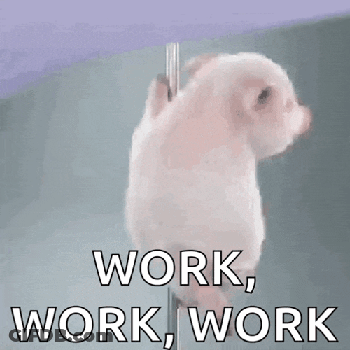 Porquinho Polidance GIF