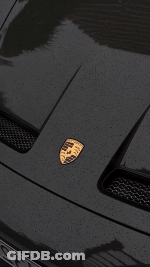 Porsche 911 GT3 Black On The Roadside GIF
