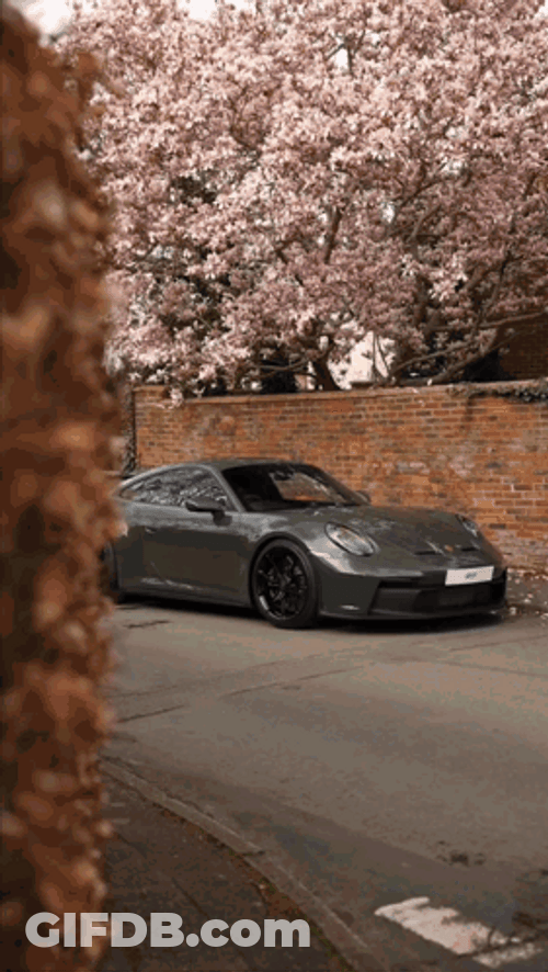Porsche 911 GT3 Parked Under Sakura Tree GIF