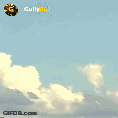 Port Park Sign With Flag GIF