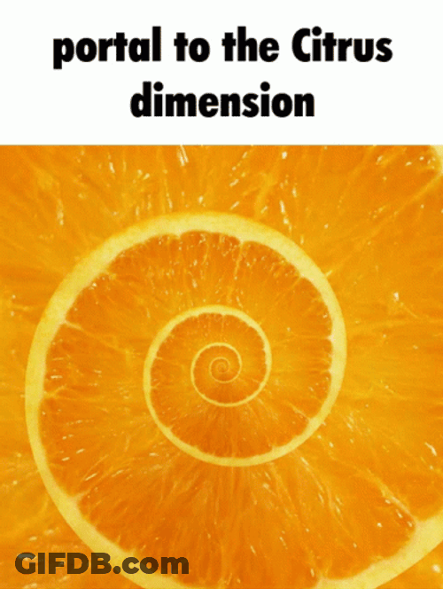 Portal To The Citrus Dimension Lemon GIF