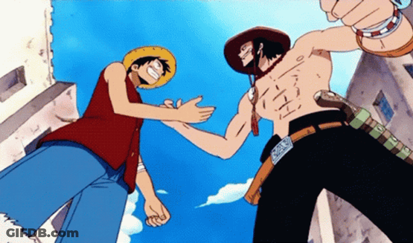 Portgas D Ace And Luffy GIF