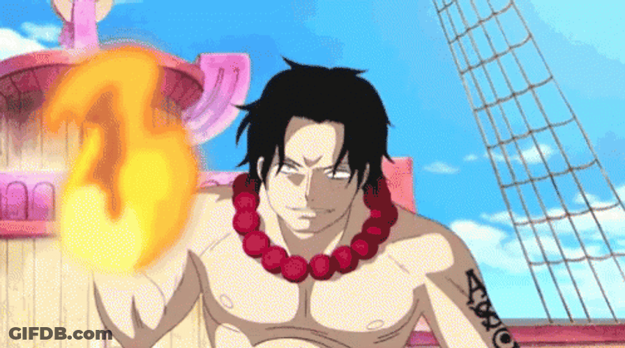 Portgas D Ace Fist Fire Punched GIF