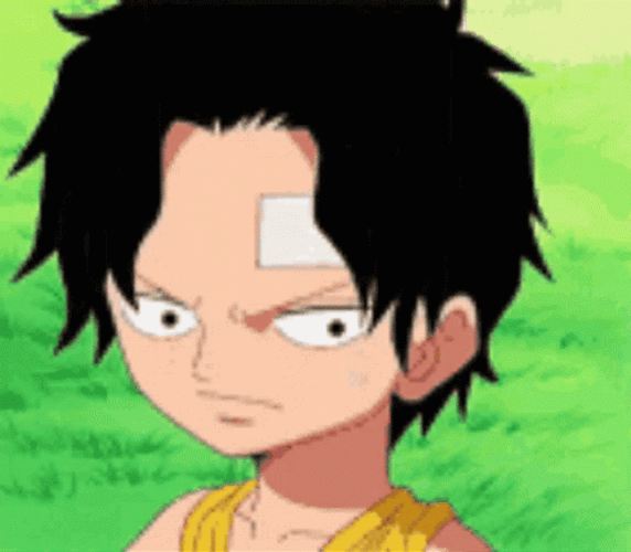 Portgas D Ace Smiling GIF