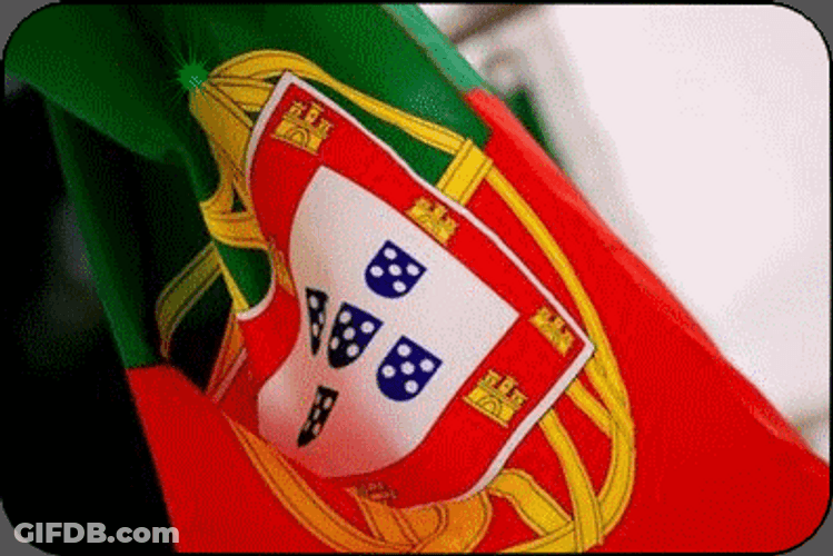 Portugal Flag Sparkling Fireworks GIF