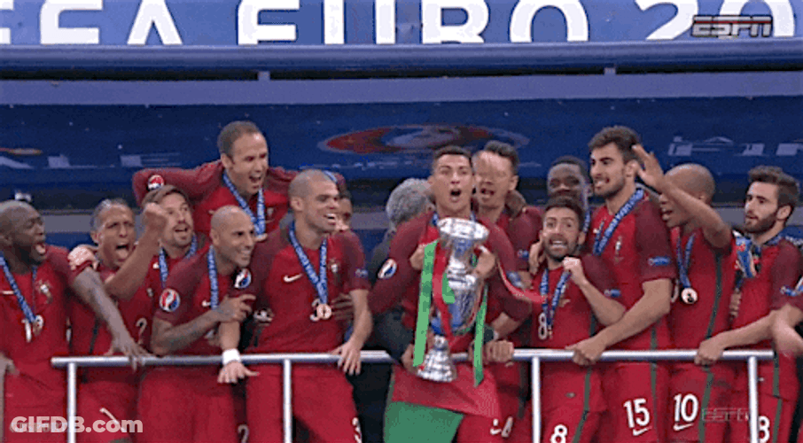 Portugal Football Champions Euro 2016 GIF
