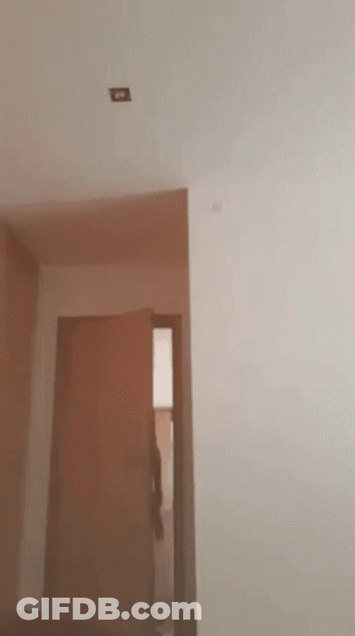 Portugal Homem Man Dancing GIF
