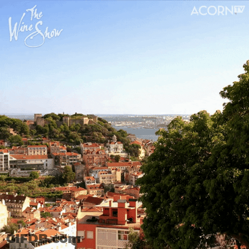Portugal Travel Vacation Coastline GIF