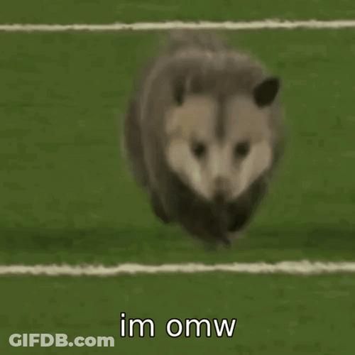 Possum I'm On My Way GIF