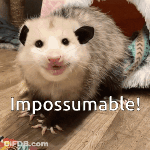 Possum Saying Impossumable GIF