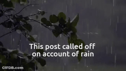Post Called Off On Account Of Rain With Tree Branch GIF