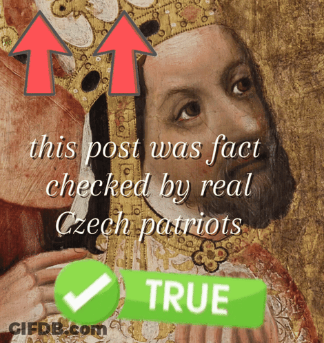 Post Fact Checked By Real Czech Patriots With Man GIF
