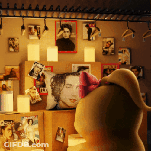 Post It Timothée Chalamet GIF