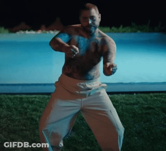 Post Malone Slow Down Dance GIF
