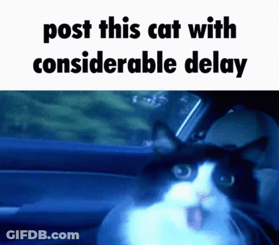 Post This Cat With Considerabel Delay GIF