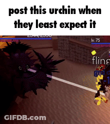 Post This Urchin When Least Expect It GIF