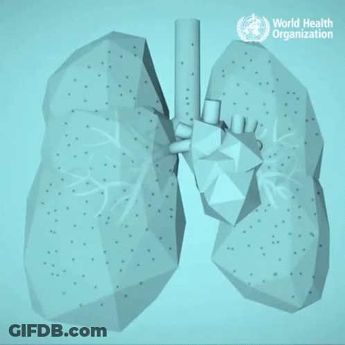 Poster Did You Know Air Pollution Kills 7 Million People GIF