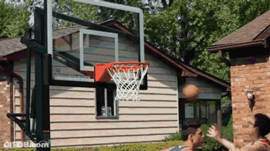 Poster Dunk At Home GIF