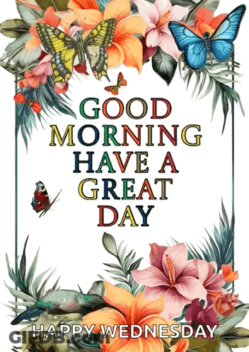 Poster Flowers Butterflies Good Morning Have Great Day GIF