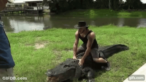 Poster Greetings From Florida Covid Doesn't Exist GIF