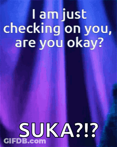Poster I Am Just Checking On You Are You Okay Suka ?? GIF