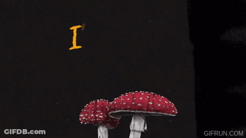 Poster Not Going To Chewing Toadstools By Myself GIF