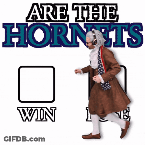 Poster Saying Are The Hornets Winning GIF