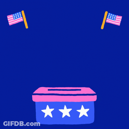 Poster Saying Biden Wins District Of Columbia With Pink Ballot Box GIF