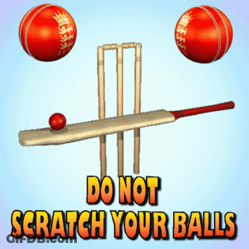 Poster Saying Do Not Scratch Your Balls GIF