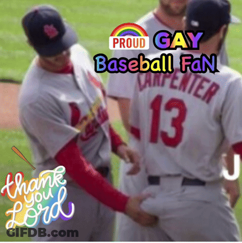 Poster Saying I'm A Gay Baseball Fan GIF