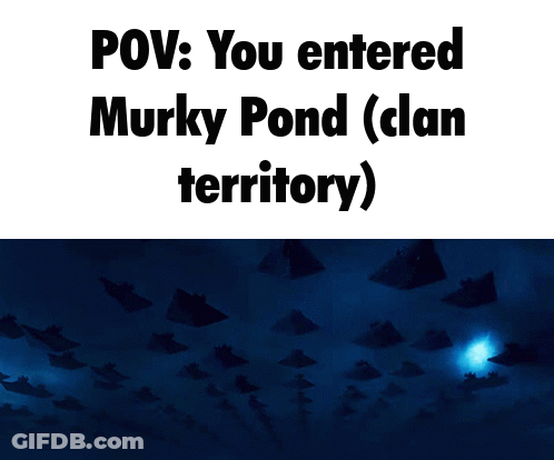 Poster Saying Pov You Entered Murky Pond Clan Territory GIF