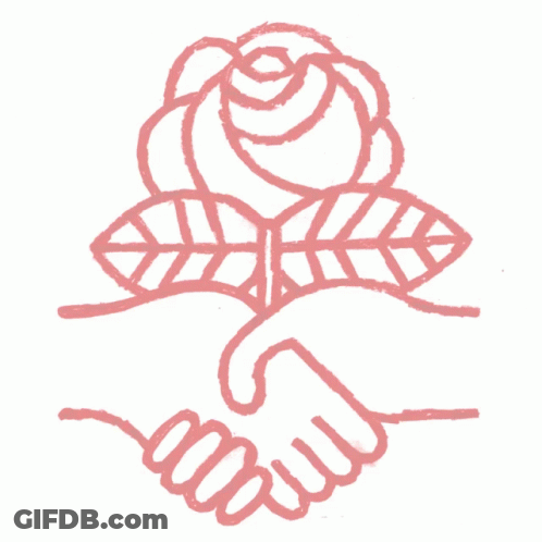 Poster Saying Solidarity Socialism Real Freedom GIF