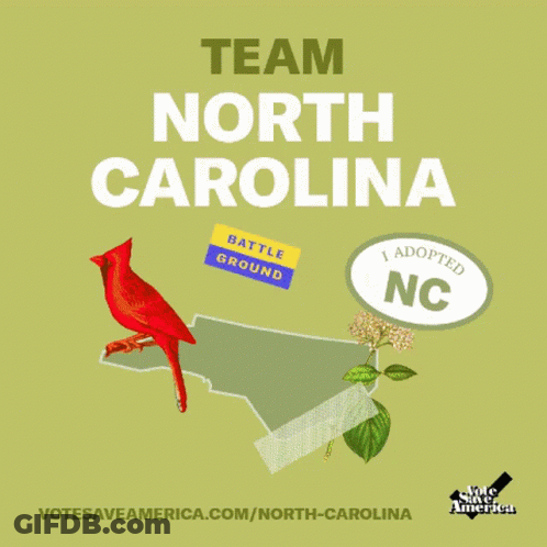 Poster Saying Team North Carolina With Bird GIF