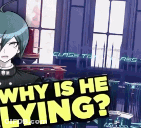 Poster Saying Why Is He Lying In Yellow GIF
