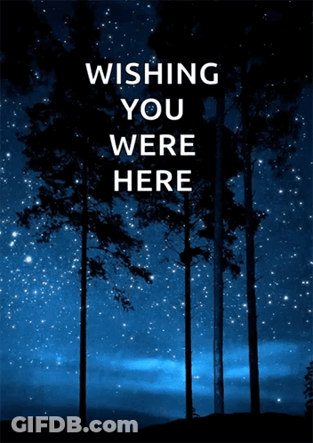 Poster Saying Wishing You Were Here GIF