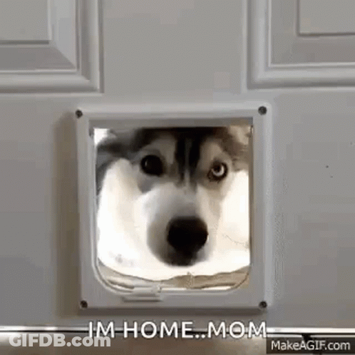 Poster Saying You Will Listen To HRE Staff And Be Happy GIF