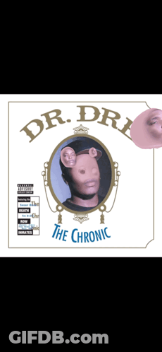 Poster With Man Saying The Chronic GIF