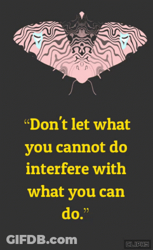 Poster With Moth Saying Don't Let What You Cannot Do Interfere With What You Can Do GIF