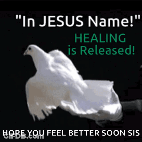 Poster With White Dove Saying In Jesus Name GIF