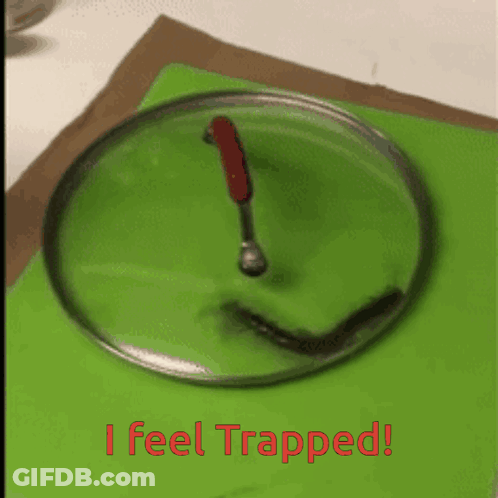 Pot Lid With Spoon Saying I Feel Trapped GIF