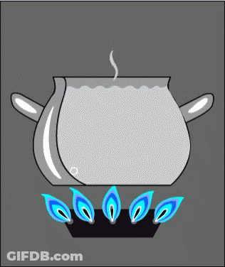 Pot Of Water Cooking On Stove With Blue Flames GIF