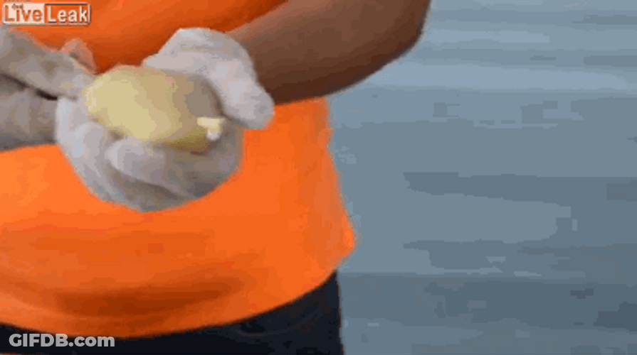 Potato Swirl On Stick GIF