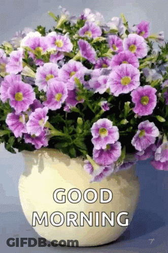 Potted Plant With Purple Flowers Good Morning GIF
