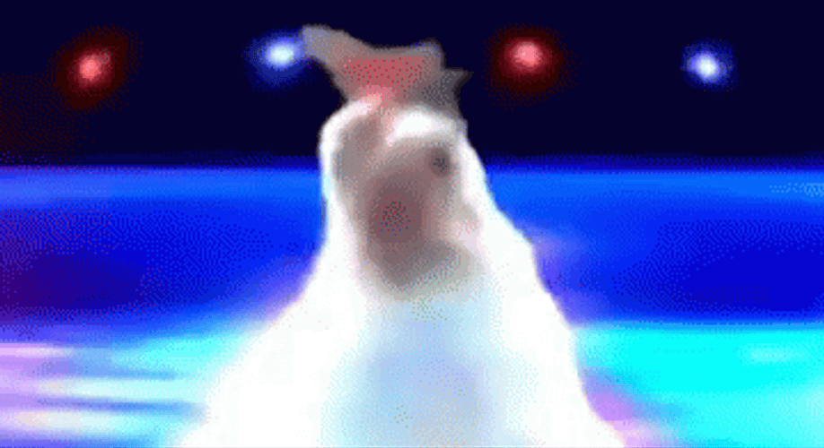 Poulet Dancing Chicken GIF