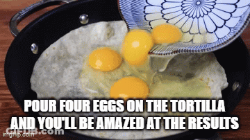 Pour Four Eggs On Tortilla GIF