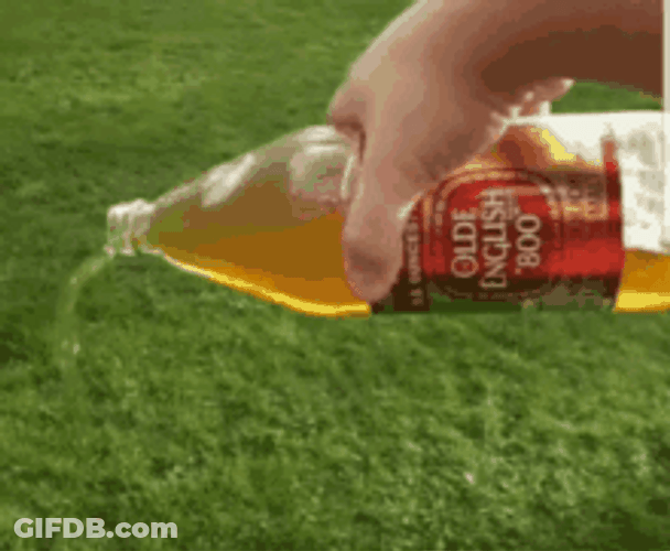 Pour One Out Olde English Beer GIF