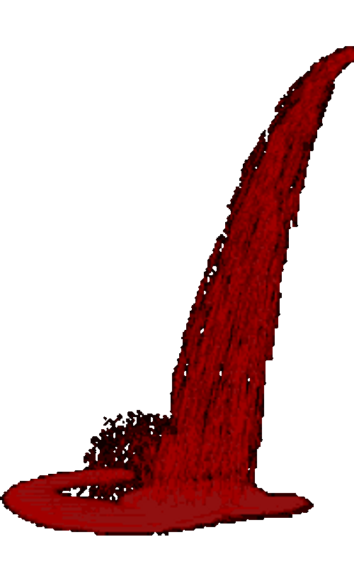 Pouring Blood Drip On White GIF
